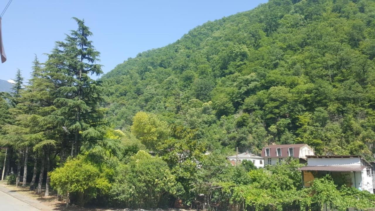 Guest House Gorny Ruchei Gagra Exterior foto